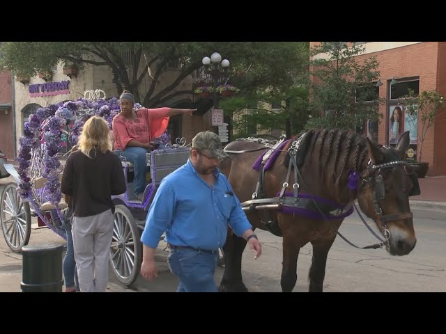 City council votes approving ban of horse-drawn carriages in downtown SA