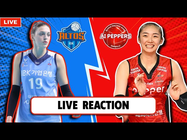 LIVE REACTION IBK ALTOS VS AI PEPPERS, KOREA V-LEAGUE