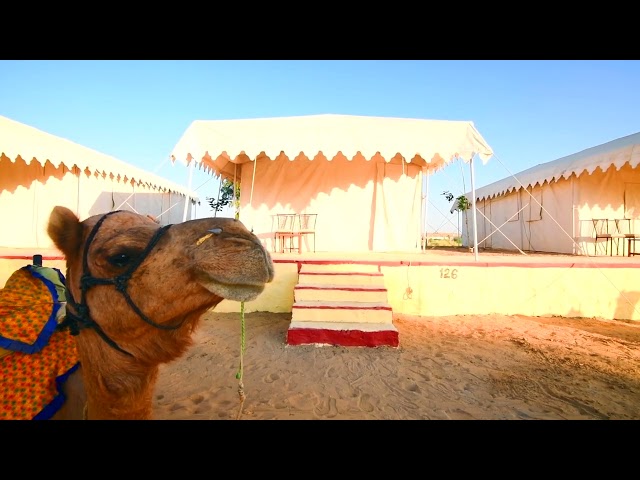 Camp in Sam sand dunes || Jaisalmer Camping || Best Budget Camping in Sam sand dunes in Jaisalmer