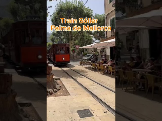 Train Soller - Palma de Mallorca #travel #nature #soller #palmademallorca #vacation #holiday