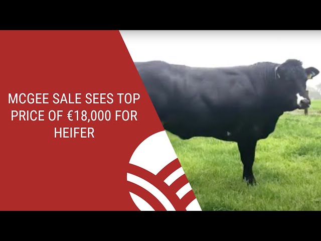 McGee sale sees top price of €18,000 for heifer