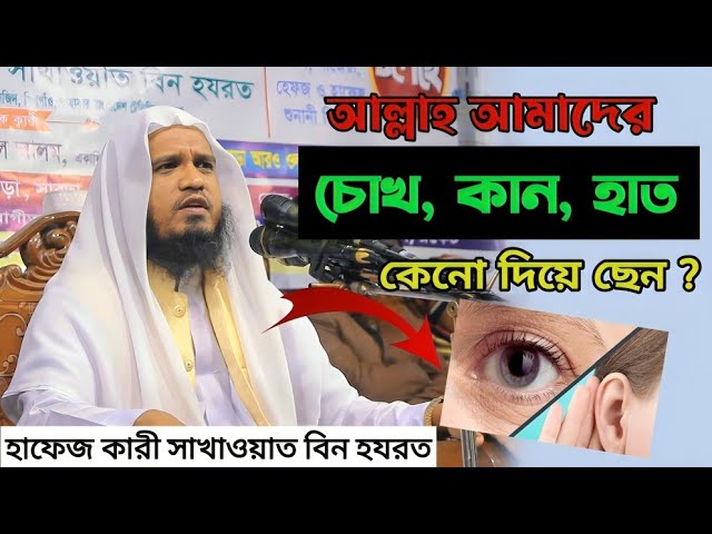 আল্লাহ আমাদের চোখ, কান, হাত, কেন দিয়েছেন ।  Hafez Kari Safaiat Bin Hojrot । Bangla waz ।