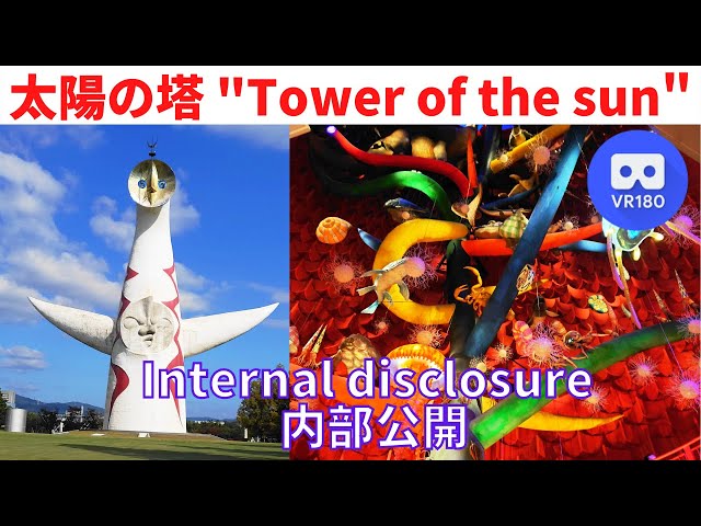 VR180  Japan OSAKA "Tower of the sun" Internal disclosure 大阪観光 "太陽の塔" 内部公開