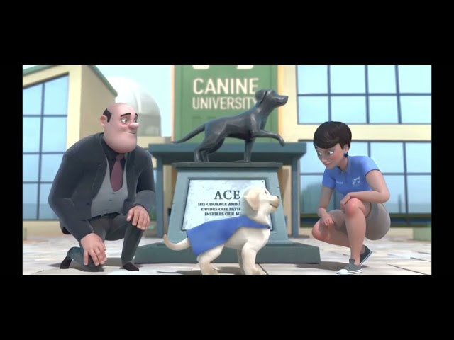 Pip Dog & Napo Animated Short Film