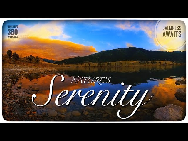 Nature's Serenity An Immersive 360° VR Experience