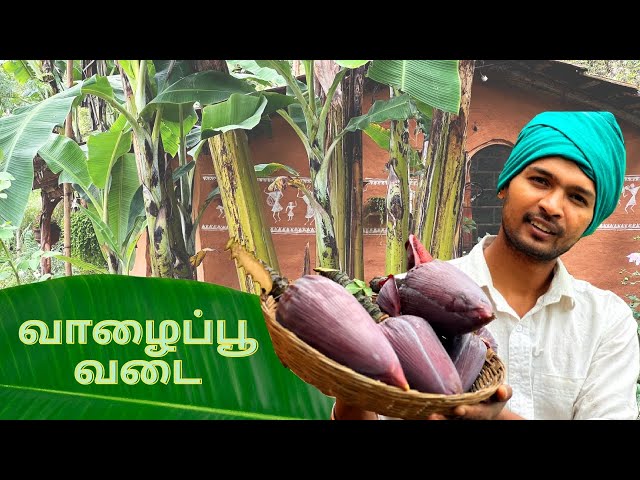 வாழை பூவும் தண்டும் இனிமே இப்படி சமைச்சி பாருங்க| Banana Flower & Stem Cooking | Tamil Native Farmer