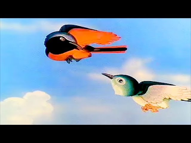 THE ROBIN | Great Book of Nature | Full Episode 29 | English