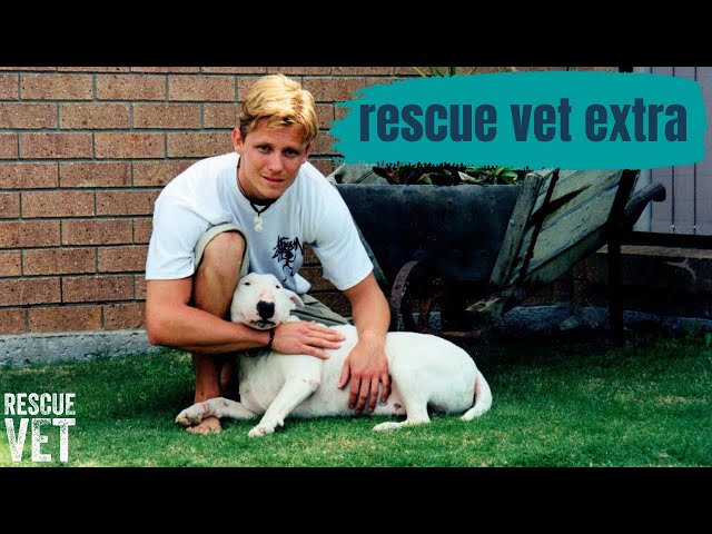 My first rescue dog! Zed's story | Rescue Vet Extra with Dr Scott Miller