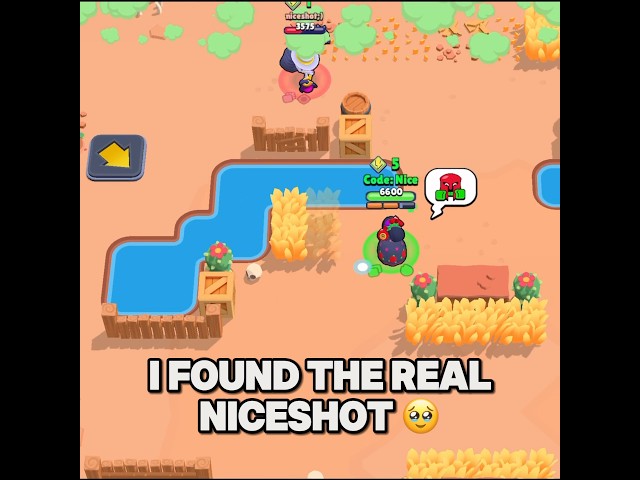 I found the real NiceShot 😳