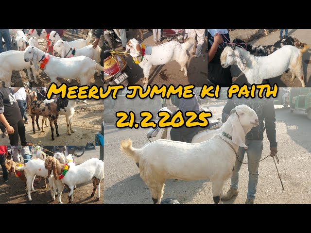 MEERUT JUMME KI PAITH WITH LIVE UPDATE 21.2.2025