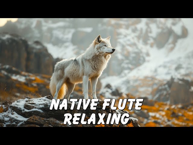 Wild and Free - Relaxing Native American Healing Flute Music for Deep Meditation and Inner Peace