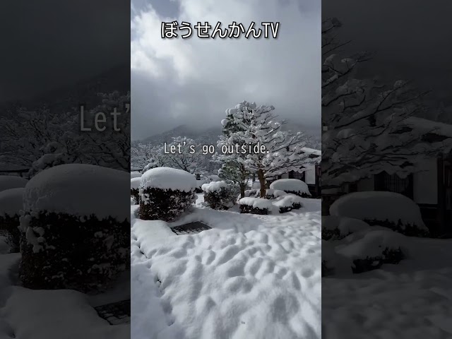 Snowy Japanese garden【雪景色の日本庭園】#gero #bosenkan #geroonsen #snow #japanesegarden