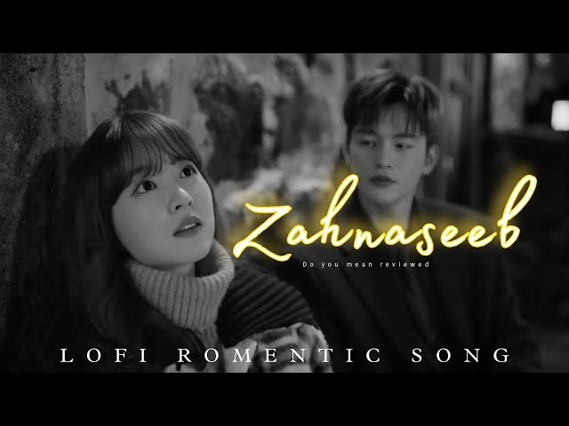 Tujhe Chahoon Betahasha Zehnaseeb : Lofi Song | New Song 2025 | Romentic Lofi Hindi Song | 4K Video