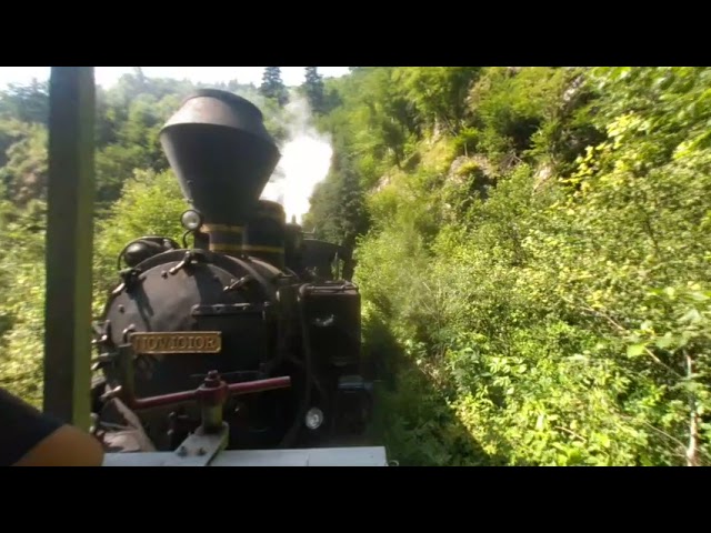 Mocanita Maramures steam engine whistle VR180