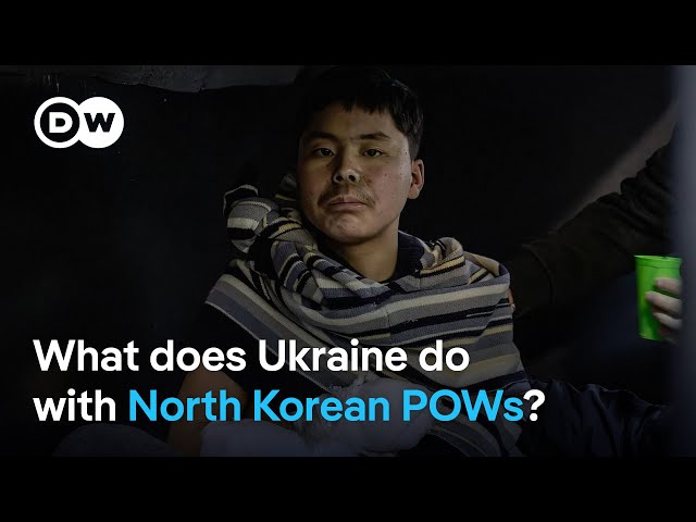 What's the situation for North Korean troops in the Ukraine War? | DW News