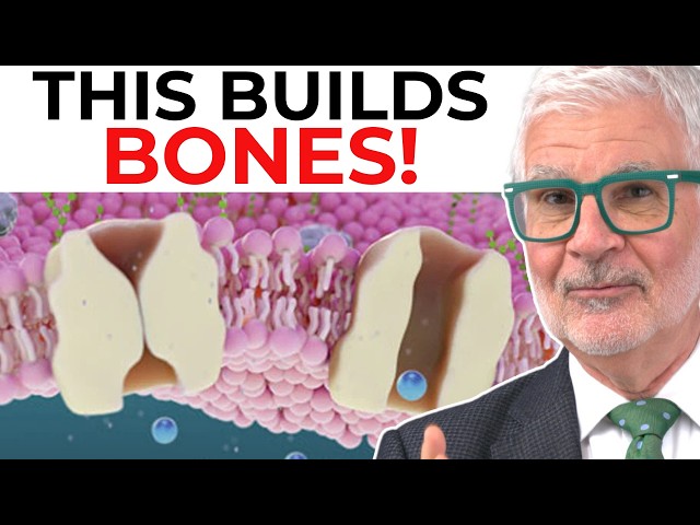 Grow STRONGER Bones with Micro Impact Therapy! Dr. Gundry