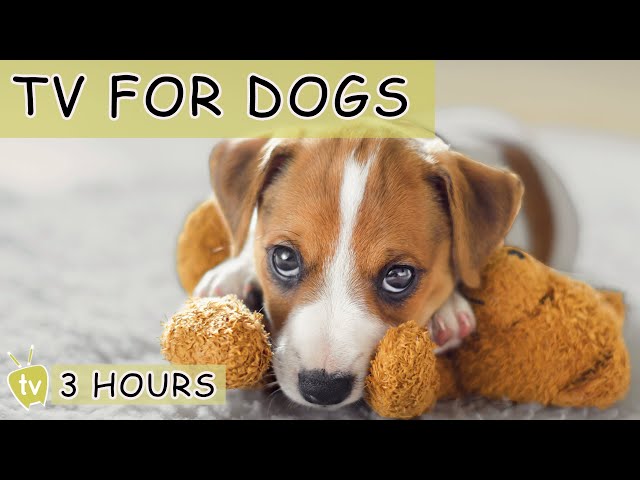 3 HOURS Of Deep Separation Anxiety Helps Dogs Relax! Calming Music For Dogs!