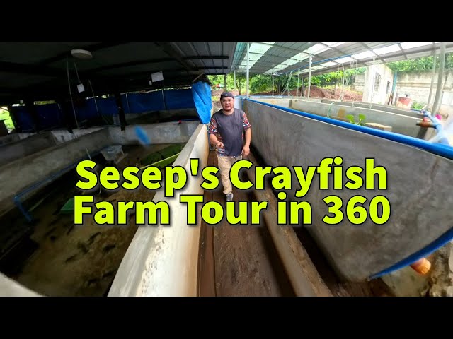 Sesep's Farm 360 Virtual Tour