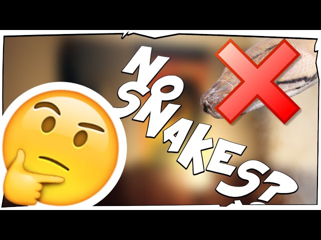 INSPECTOR SNAKE! | NO SNAKE HOTEL Gameplay  - No Facecam