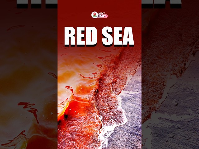 Red Sea Mystery: Why Does It Turn Red? | NEXT MAPS