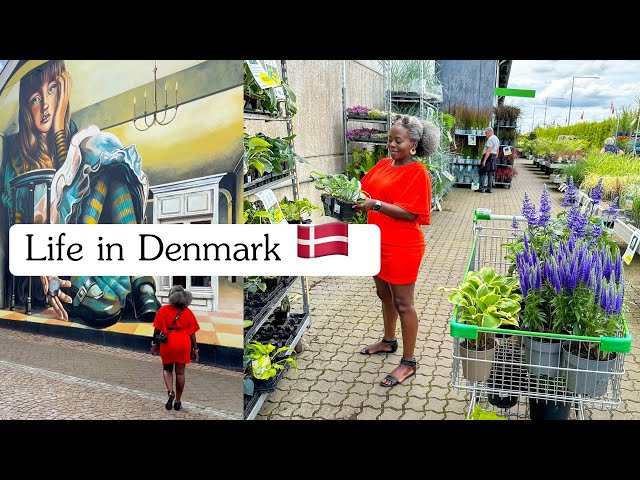 Days in my simple and slow  life in Denmark🇩🇰|Midsummer☀️🔥 |Gardening 🧑‍🌾 |Street art #lifeindenmark