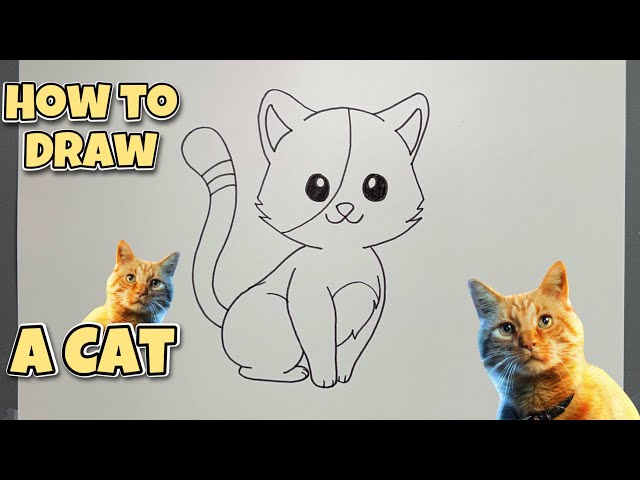 HOW TO DRAW A CAT | Step-By-Step Tutorial #drawing #howtodraw #dibujo