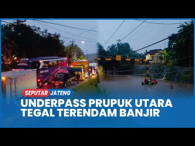 Underpass Prupuk Utara Tegal Terendam Banjir Setinggi Leher Orang Dewasa, Lalu Lintas Macet Total