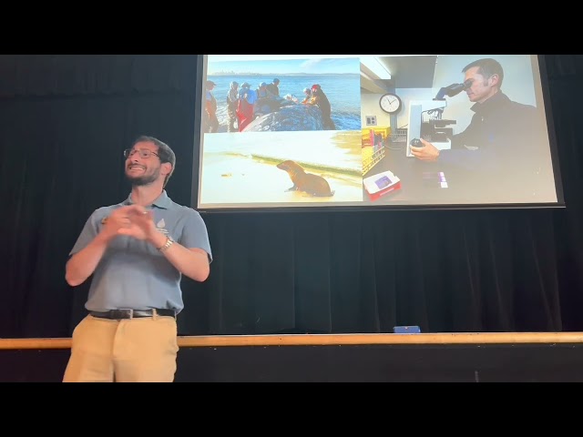 Saving Seals and Sea Lions in California - Adam Ratner at the Bolinas Community Center 04-23-2023