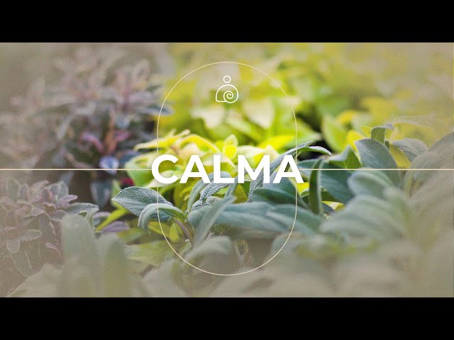 C A L M A 🌿 La música calmante restaura el sistema nervioso