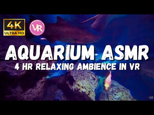 Under Water Sounds for Sleeping: Relaxing with no music, 4K underwater ambience