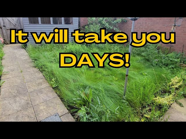 Elderly Couple SHOCKED at 4 HOUR garden makeover!