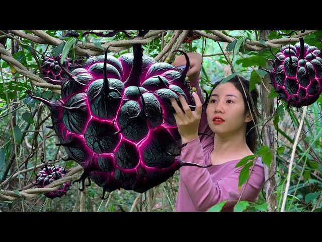 Harvesting Devil's Eye - Glowing Fruit In The Deep Forest | Single Girl Living In The Forest