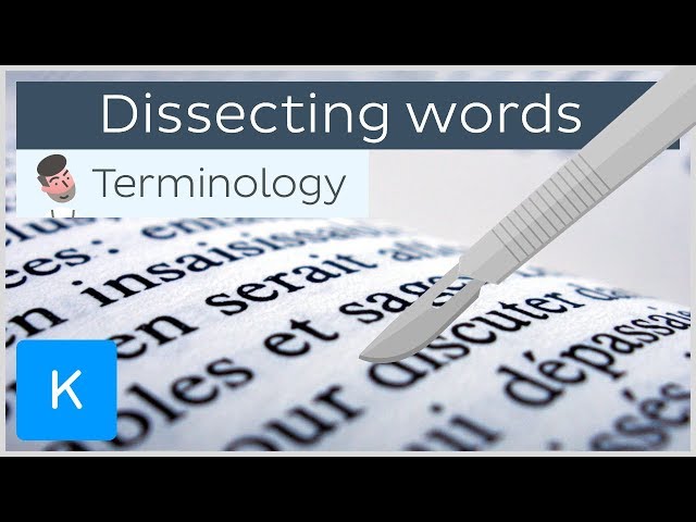 How dissecting words can help you be a pro in anatomical terminology | Kenhub