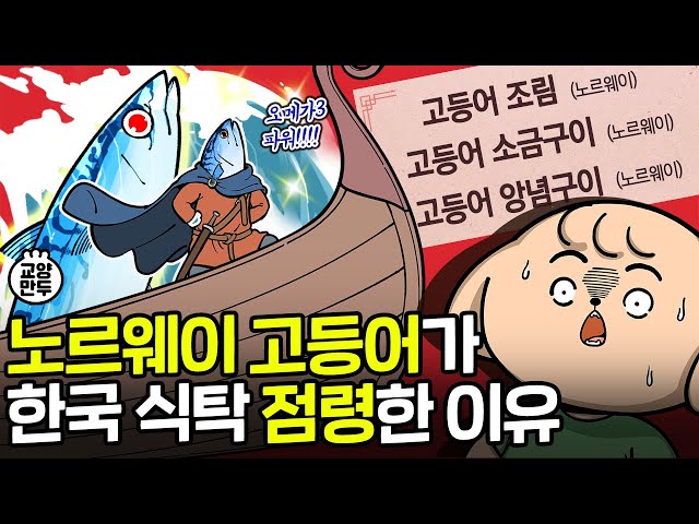 고등어 원산지는 왜 죄다 노르웨이일까?｜바이킹국에서 온 고등어 특징