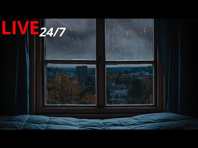 🔴 Rain On Window with Thunder SoundsㅣRelaxing Sounds for Sleep, Insomnia, Study, PTSD