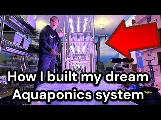 How I built my dream Aquaponics system