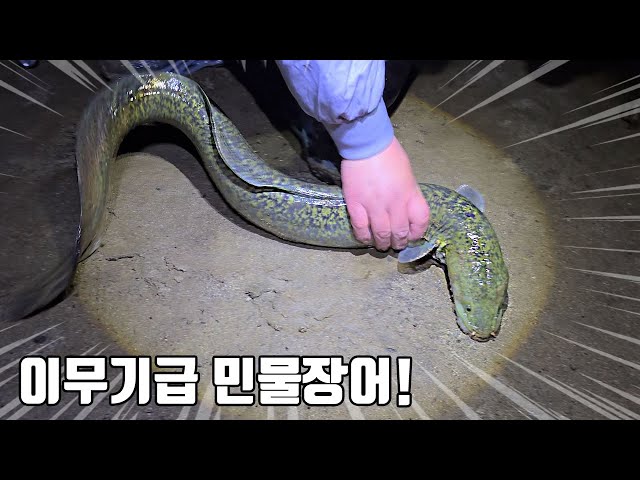 전설의 괴물 민물장어! 또잡았다!!! 이녀석이 상상도 못한걸 뜯어먹고 있었는데...