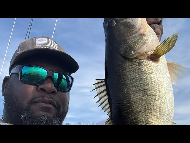 Robert Brown   Catching Big Bass On Harris Chain in FL