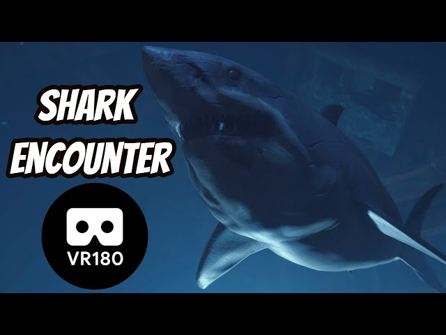 Shark Encounter Playstation VR Worlds VR180