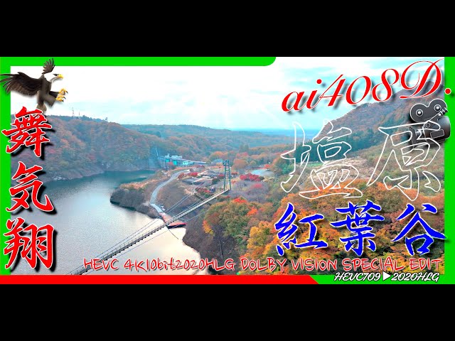 森林の駅 大吊橋 紅葉谷公園 HEVC 4K10bit2020HLG DOLBY VISION SPECIAL EDIT ai408D