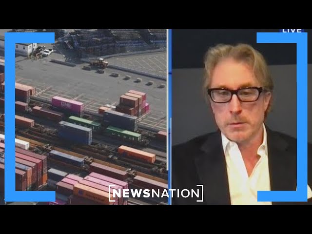 Tariffs work when used tactfully: Economist | NewsNation Now