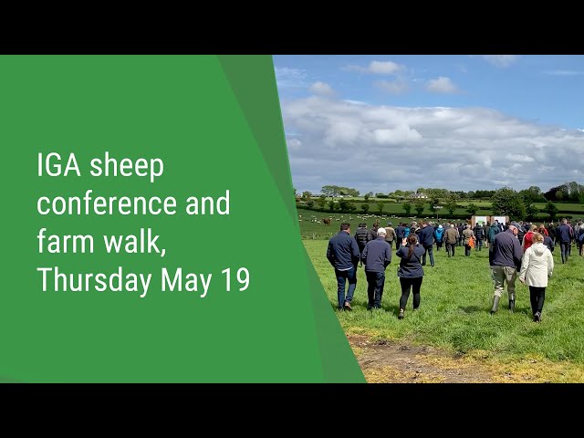 IGA sheep conference and farm walk, Thursday May 19