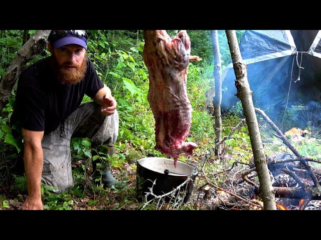 WILD BEAVER, Trap, Eat, Cook in the FOREST (Start-to-Finish)