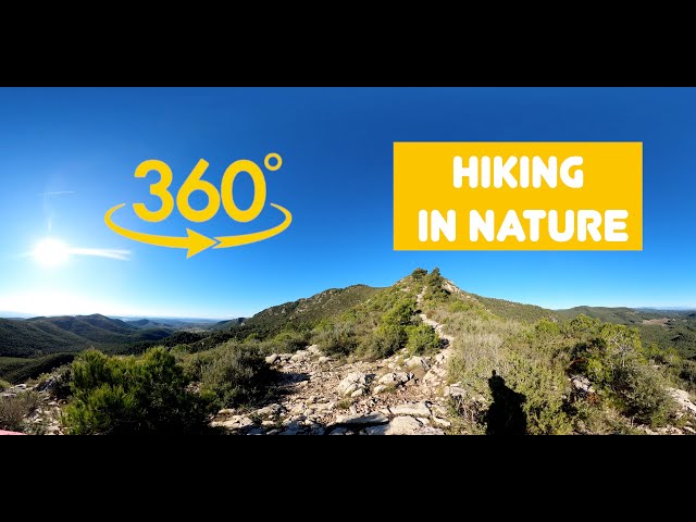 Stunning Mountain Hike in 360°: A Relaxing Adventure with My Dog 🐾 | Nature Reconnection