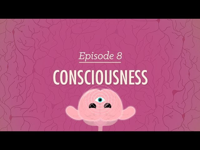 Consciousness: Crash Course Psychology #8