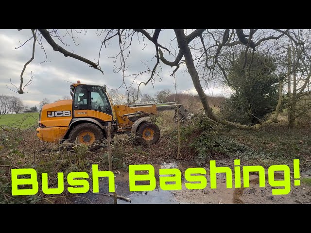 Birthday Bush Bashing! Happy Valentines! JCB TM320S