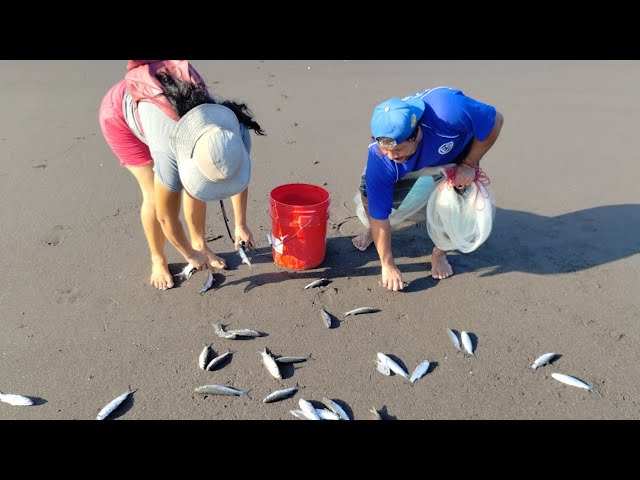 LO BUENO DE LA PESCA EN ÉL MAR QUE DE UN SOLO PEPENASO SALE El CALDO 🙏🐟🐟🐠🐠🇸🇻🌊🙏