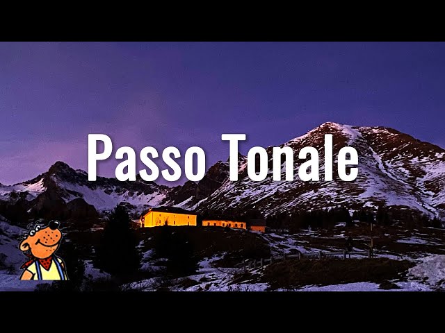 Winter in Passo Tonale 🇮🇹  PF 2022