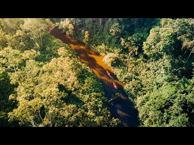 Kayaking in Ecuador's lowland Amazon Rainforest