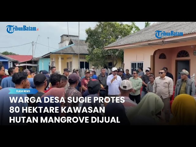 Warga Desa Sugie, Karimun Menolak 80 Hektar Kawasan Mangrove Dijual